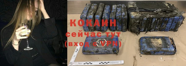 индика Баксан
