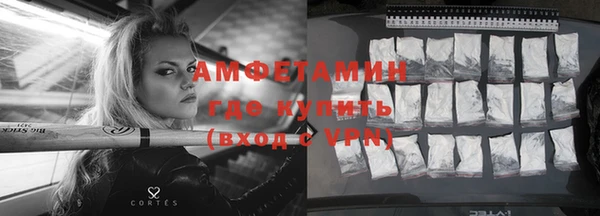 индика Баксан