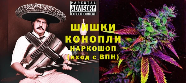 индика Баксан