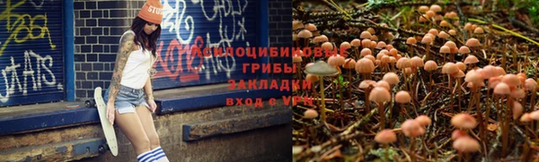соль курить ск Балабаново