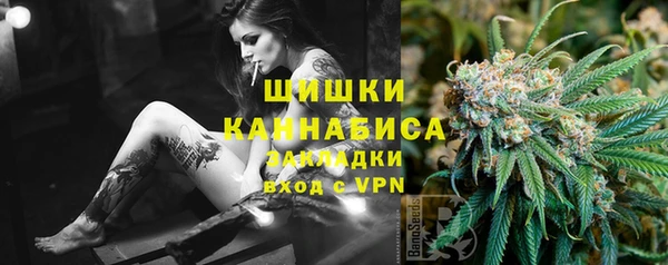 индика Баксан