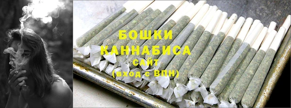 индика Баксан