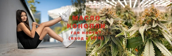 индика Баксан